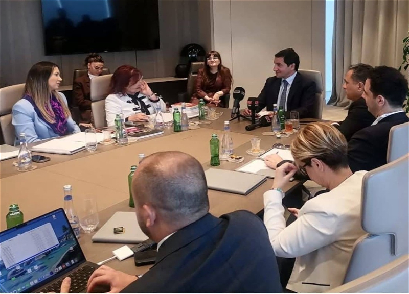 Hikmet Hajiyev receives TADİV delegation - PHOTO