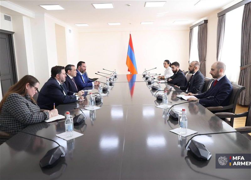Mirzoyan discussed accelerating the implementation of the TRIPP project with a U.S. representative
