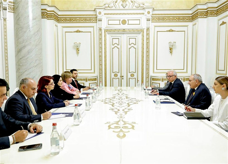 Pashinyan discussed the prospects of the TRIPP project with ambassadors of Arab countries