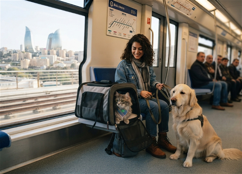 Can I bring my pet? How accessible is Azerbaijan's transportation for pet owners — REVIEW