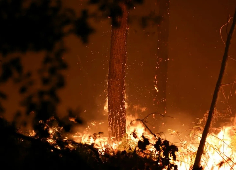 Nearly 1,600 hectares of forest burned overnight in southwestern France