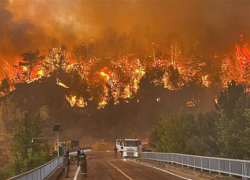 Eleven people arrested in Turkey on suspicion of setting forests on fire