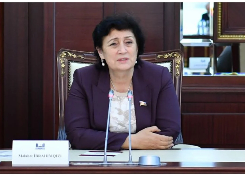 “Mehriban Əliyevanın bu təşəbbüsü səhiyyənin gələcəyinə investisiyadır” – Deputatdan AÇIQLAMA