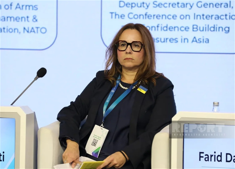 NATO and Azerbaijan may implement new demining projects