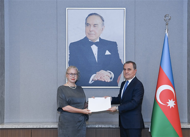Azerbaijan holds talks with Sweden over EU cooperation prospects - PHOTO
