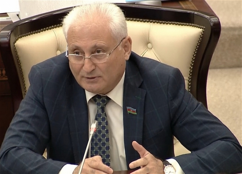 “Qərb mediasında Azərbaycana qarşı kampaniya aparılırsa, demək, ölkə böyük uğura imza atıb” - ŞƏRH