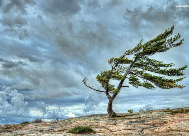Wind to strengthen in some regions of Azerbaijan – WARNING
