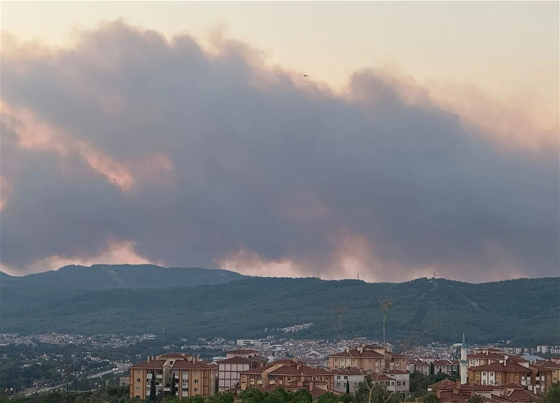 A forest fire has broken out in Turkey
