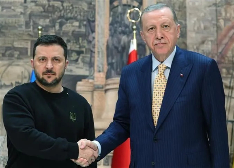 Erdogan and Zelensky discuss peace talks and cooperation