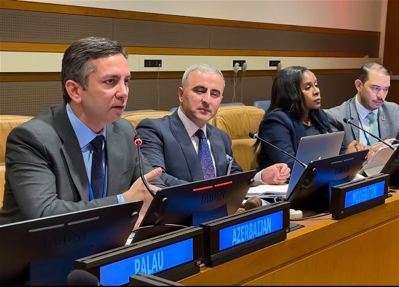 Azerbaijan presents at the UN a program to protect the heritage of small island states - PHOTO