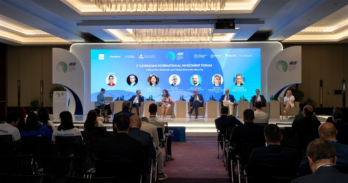 Panel session on “Critical Raw Materials and Global Economic Security ...