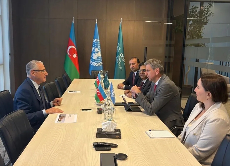 Azerbaijan and FAO discuss strengthening climate action - PHOTO