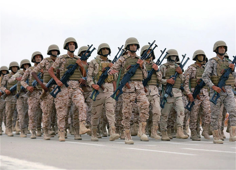 Yemeni Armed Forces Claim Control Over Territories Near Bab-el-Mandeb Strait - UPDATED