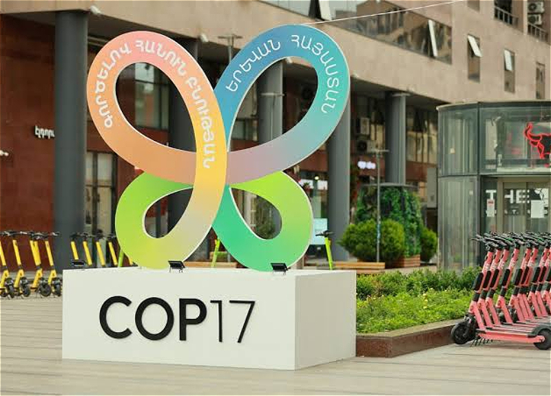 Armenian opposition says millions spent on COP-17