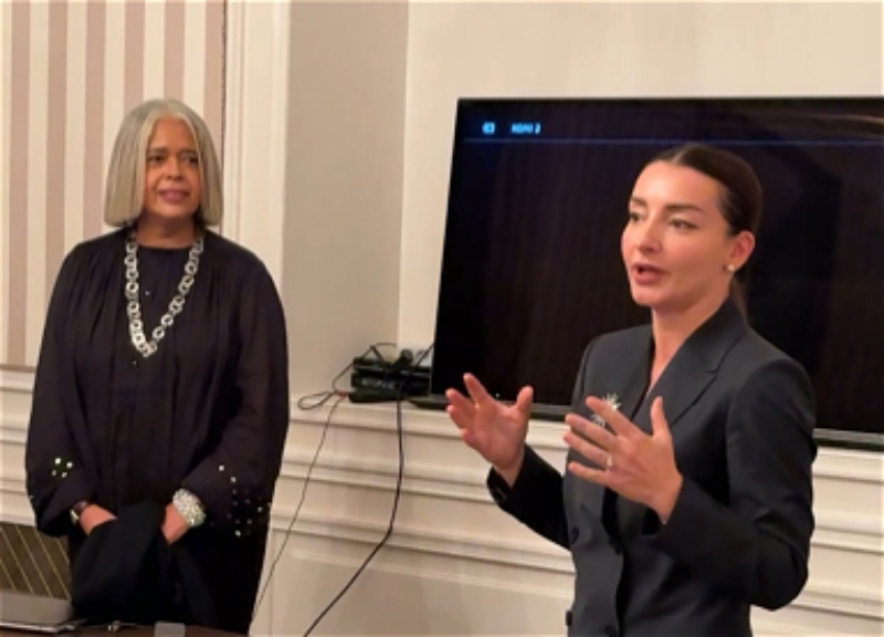 Azerbaijan's culture and tourism potential presented to French professionals in Paris - PHOTO