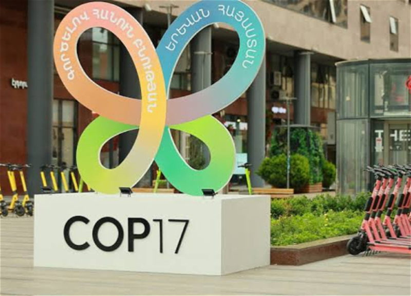 COP17 in Yerevan: Armenia's environmental facade and the price of irresponsibility