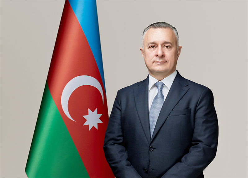 Teymur Musayev Baş nazirin müavini təyin edilib