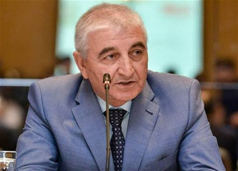 Mazahir Panahov to observe elections in Serbia