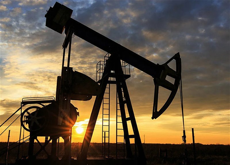 Azerbaijani oil rises in price by almost 2%