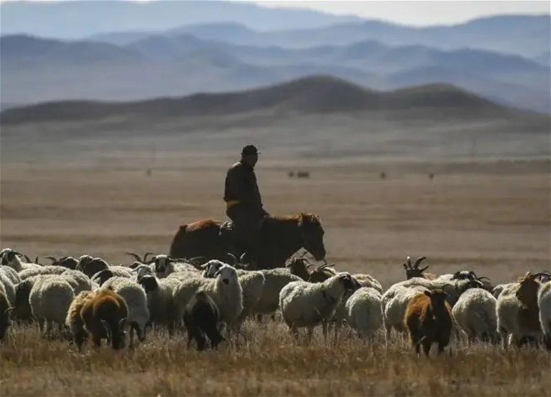 Mirzoyan comments on the incident involving an Azerbaijani shepherd crossing the border