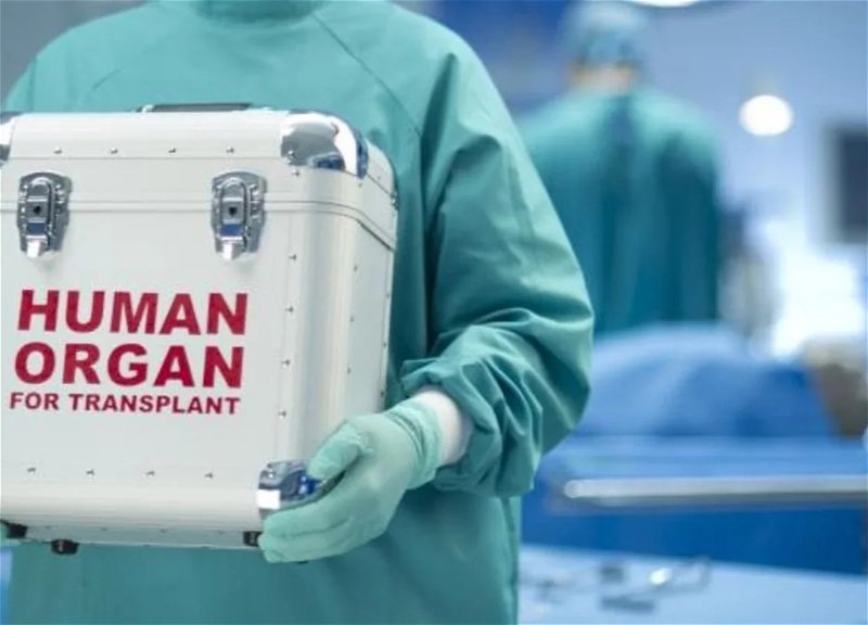 Azerbaijan proposes including heart and cornea transplants in the mandatory health insurance package