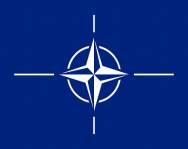 Конгресс США одобрил вступление Украины и Грузии в НАТО