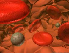 Датские ученые открыли способ изменения группы крови