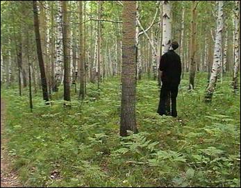 Нашли повешенным мужчину. Повешенный мужик в лесу. Повешаныц человек в лесу. Повешенный парень в лесу.