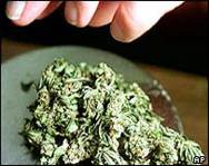В Баку у наркоторговца изъяли 2,5 кг марихуаны