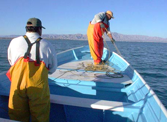 На Каспии вблизи Баку обнаружены тела двух рыбаков