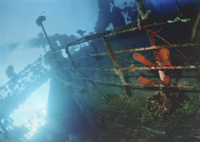 На затонувшем древнем корабле в Атлантическом океане нашли самый крупный в истории клад