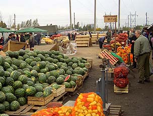 Азербайджанских фермеров вытесняет с рынка продукция генной модификации?