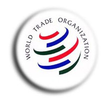 Следующая встреча с ВТО  в Женеве
