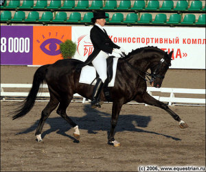 В Агдаме строится  Карабахская  конная  школа
