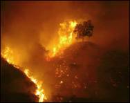 В Турции горят леса