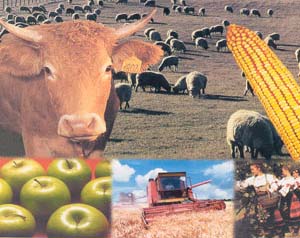Азербайджан будет участвовать в «Агроевразии-2007»