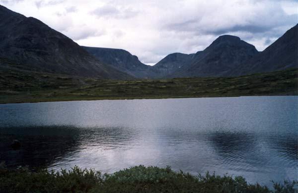 Озеро Гызылгель опасно для пернатых