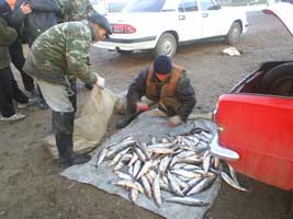 В казахстанских водах Каспия задержаны браконьеры из Азербайджана