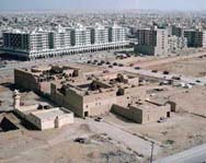 Саудиты построят в пустыне самый большой в мире закрытый сад