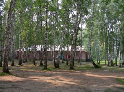 В Лянкяране организован молодежный интеллектуальный лагерь
