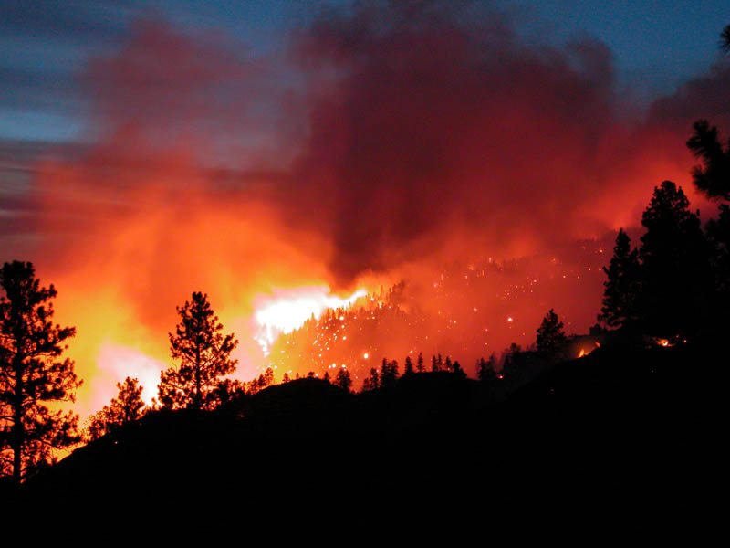 Лесные пожары в Греции больше не создают угрозы для населенных пунктов