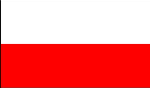 Польша может потерять одного из близнецов