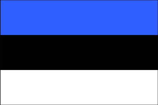 Эстония отказалась праздновать День освобождения от фашистской оккупации