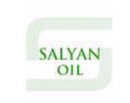 Прошел «круглый стол» Salyanoil и неправительственных организаций