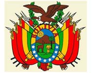 Национальная ассамблея Боливии приняла проект новой конституции