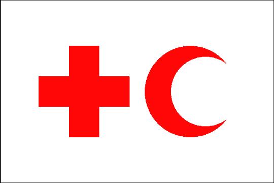 Началась 30-я конференция Международного движения Красного Креста и Красного Полумесяца