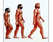 Генетики доказали стократное ускорение эволюции человека