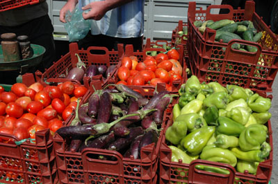 В Габалинском районе возросло производство сельскохозяйственной продукции