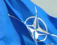 США: результаты плебисцита не повлияют на вступление Грузии в НАТО