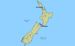 Два австралийца проплыли более 3000 км на байдарке до Новой Зеландии